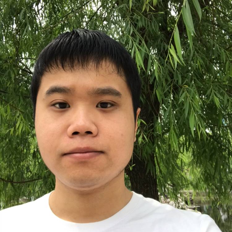 大雁等待后来的照片