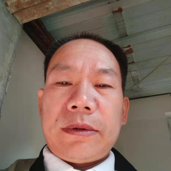 寂寞如冰的照片