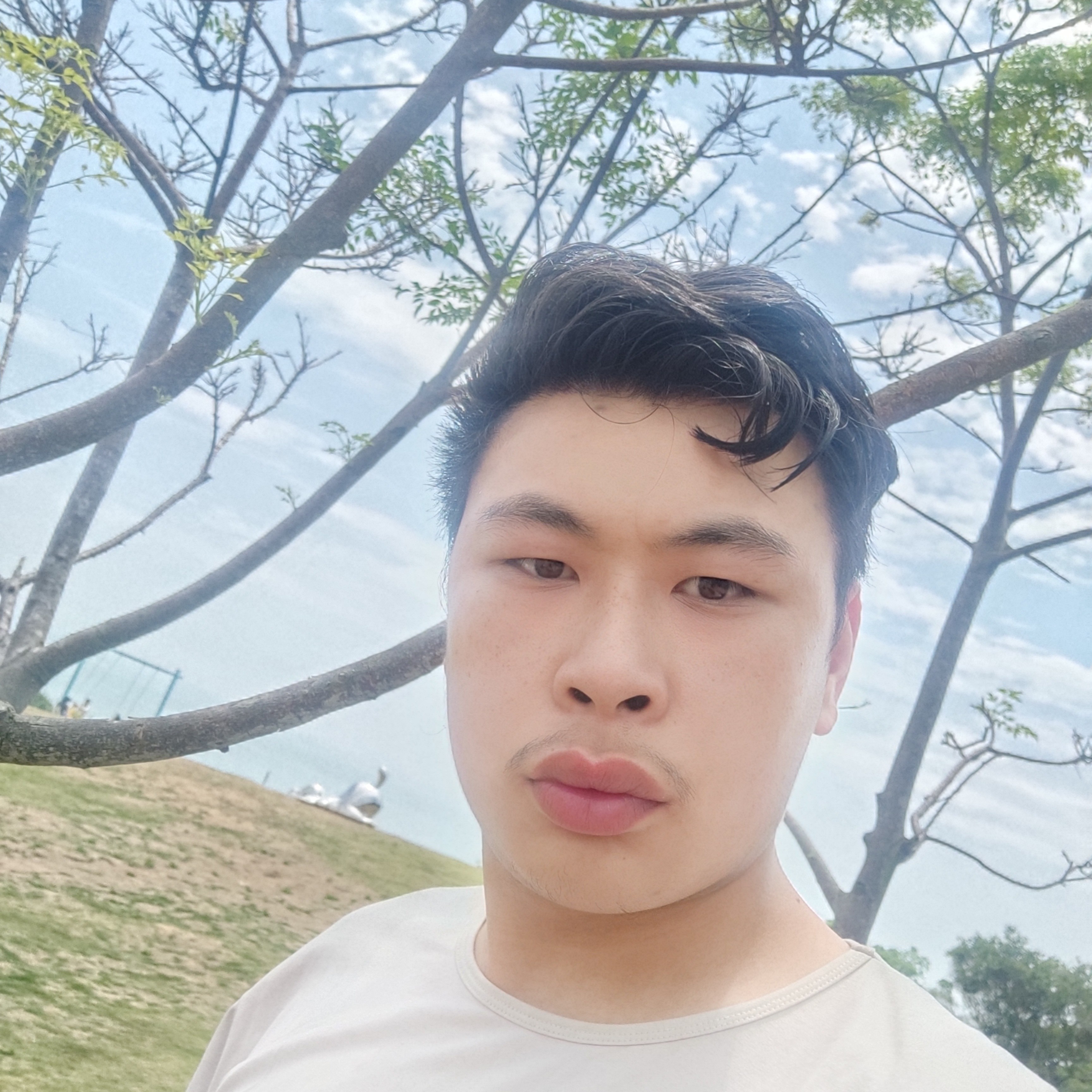 篮球无限的照片