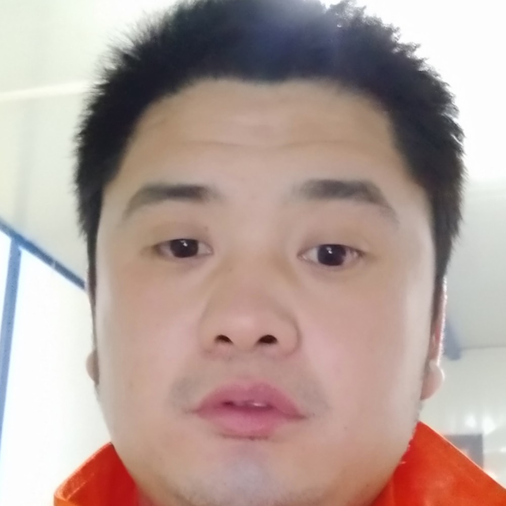 小鸽子凝眸满意的照片