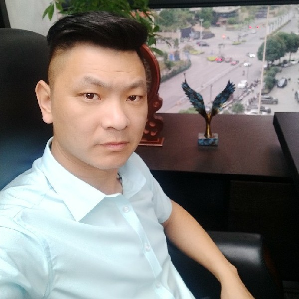 一颗心的追逐的照片