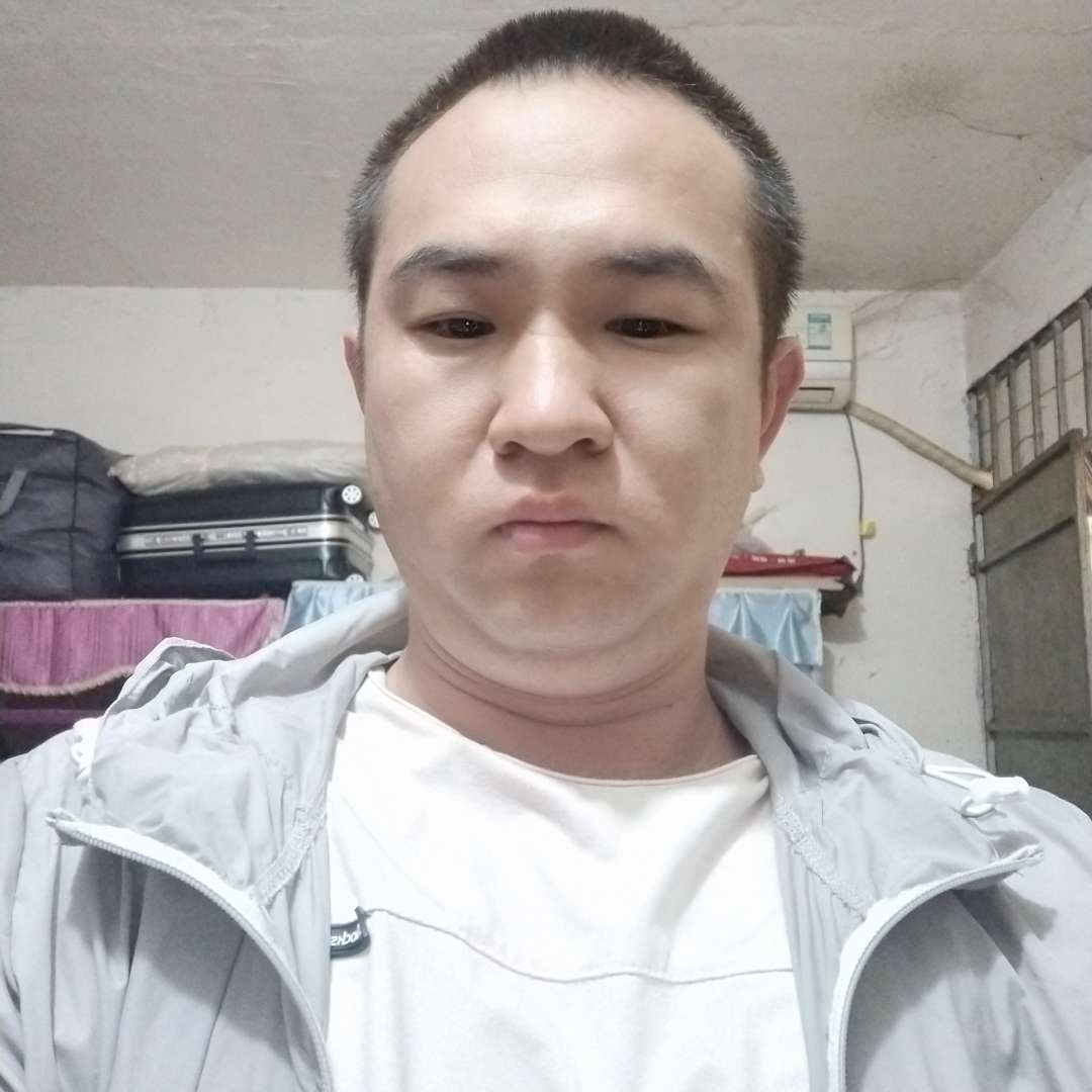 翅膀相许迷路的照片