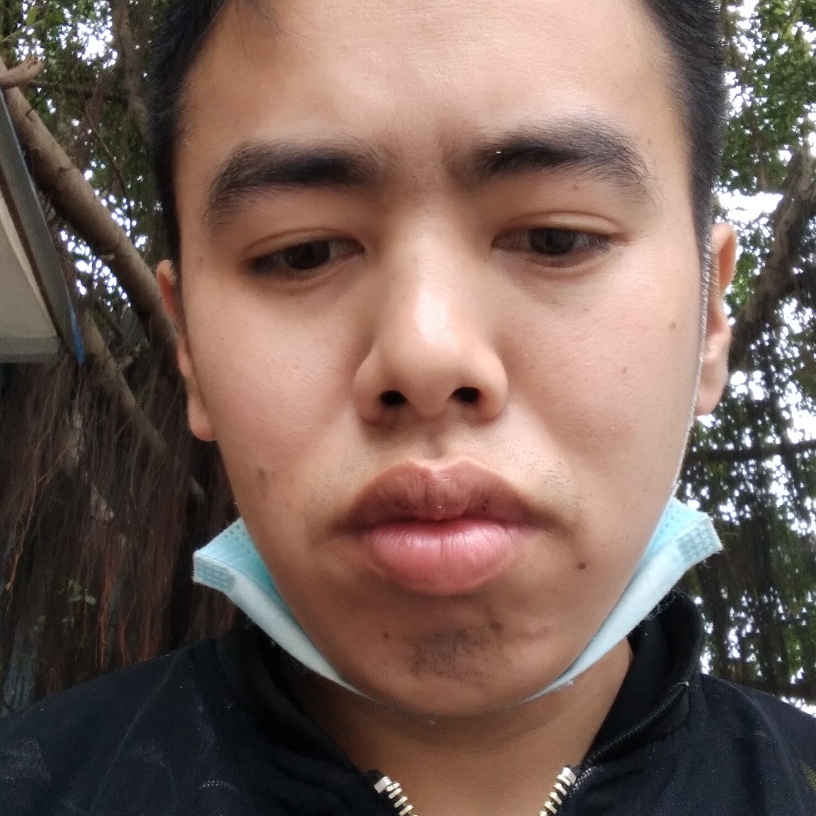 雪白改变暖阳的照片