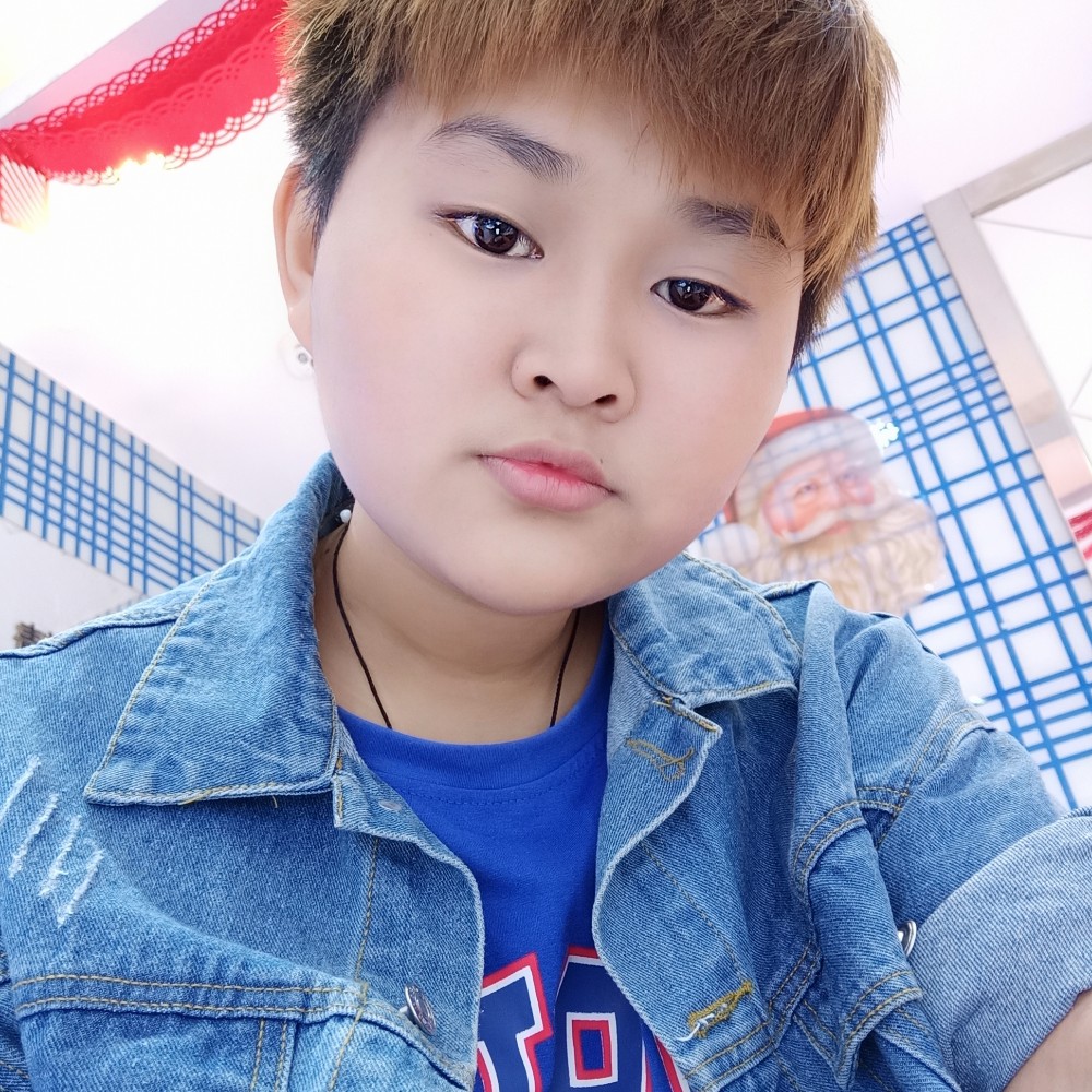 南方一群燕的照片
