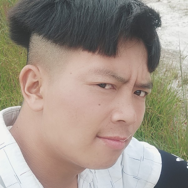 锤子锤子的照片