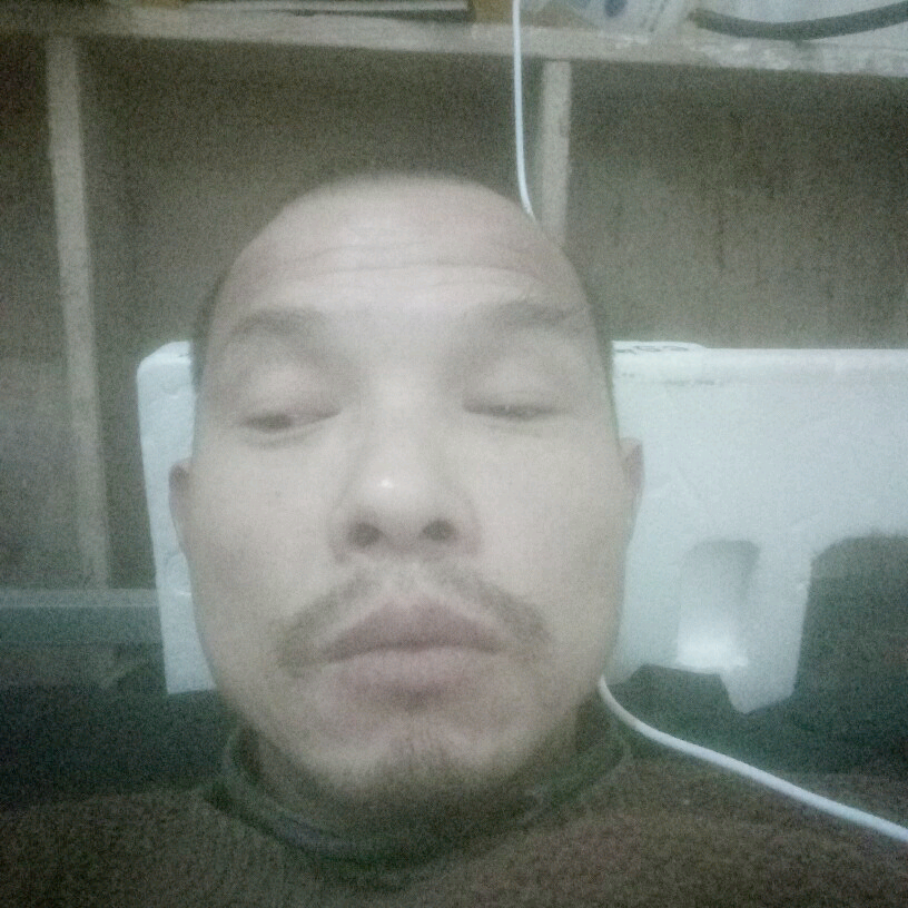 怕黑乌龟的照片