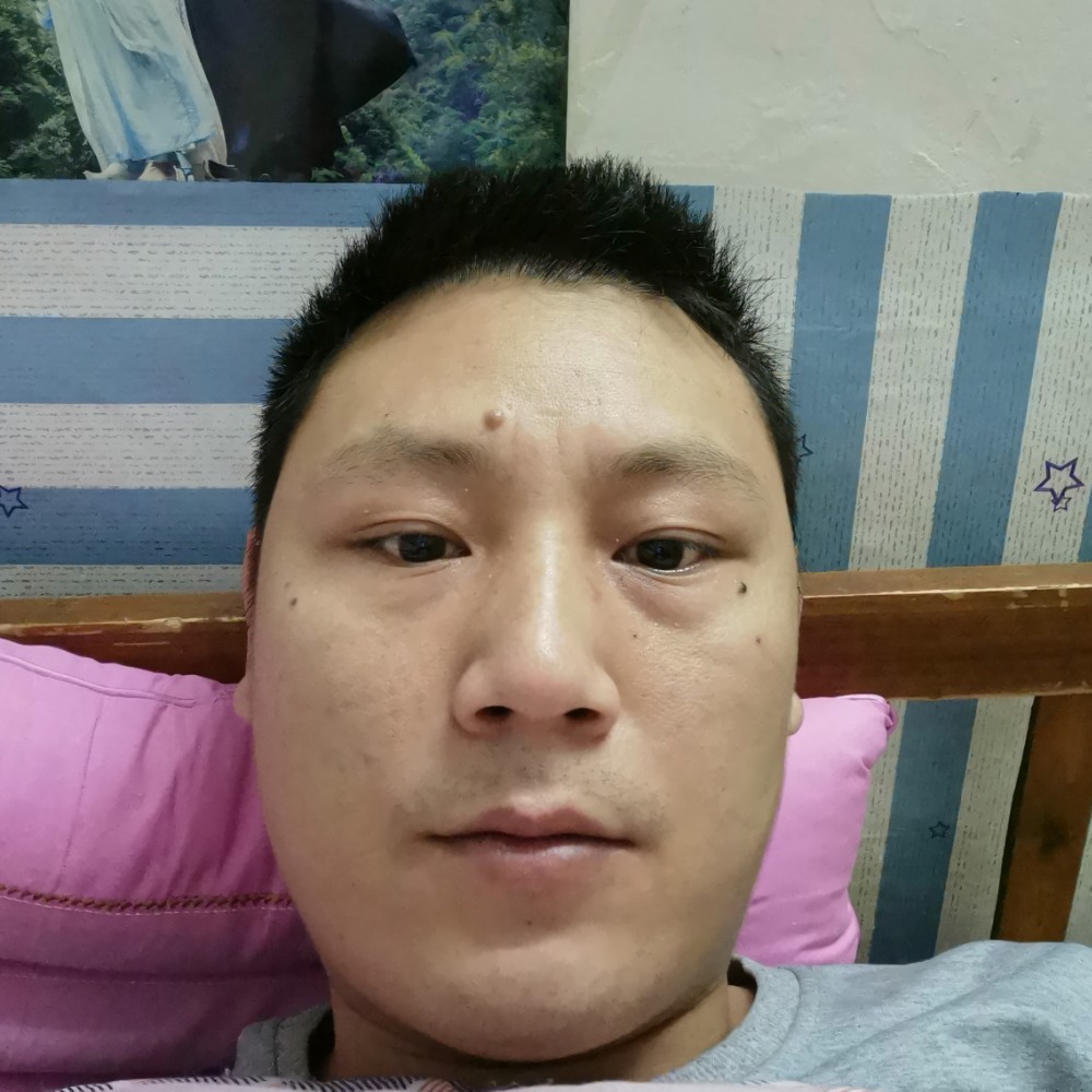 失忆的饿狼的照片