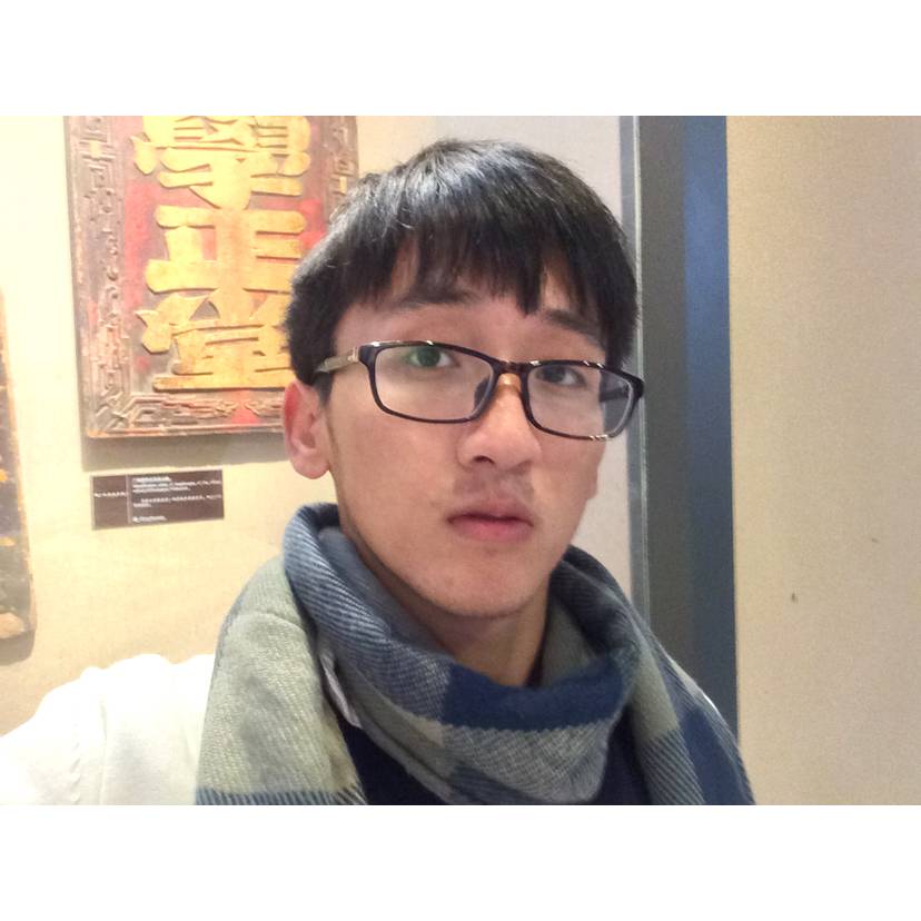 刺猬碧蓝的照片