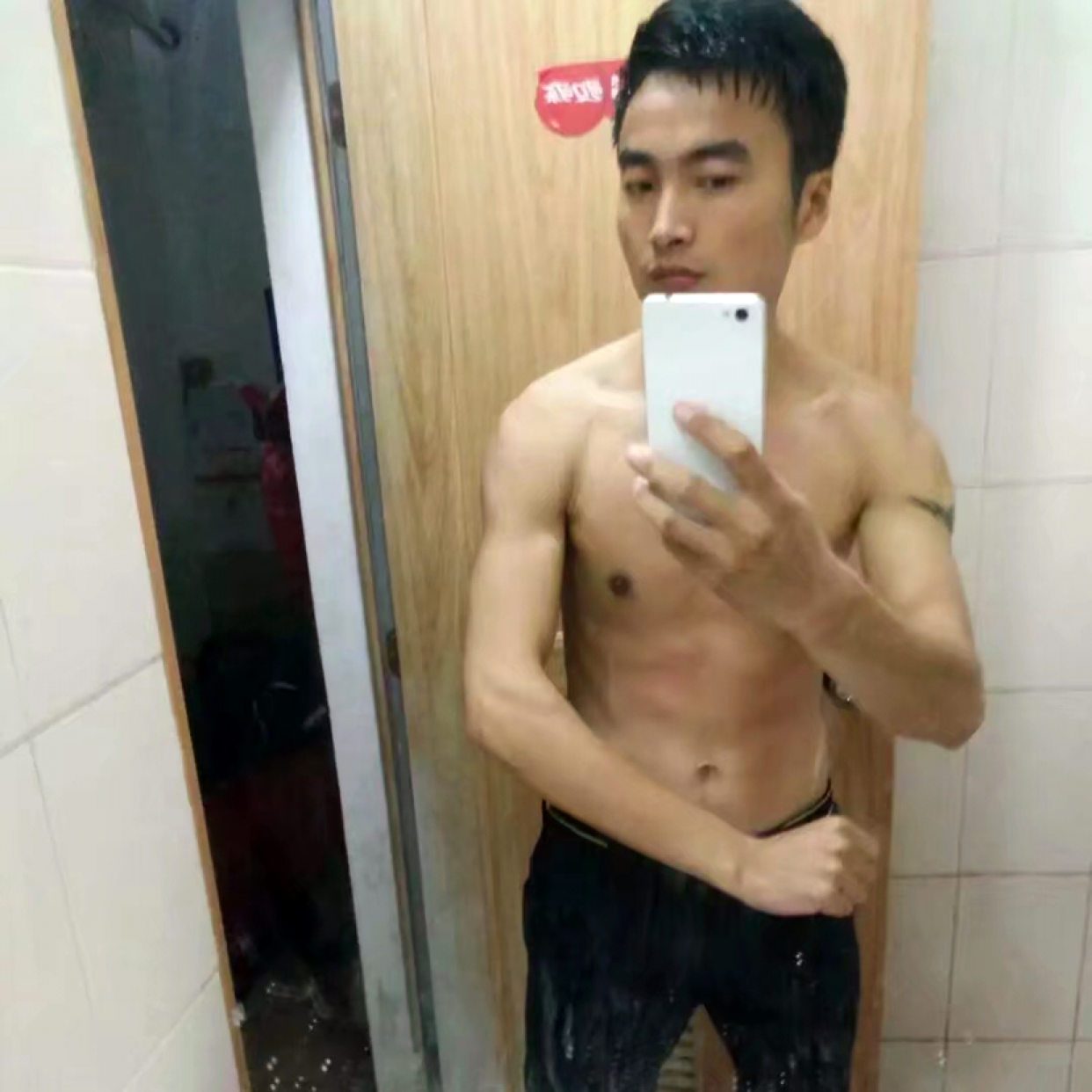 落寂有海燕的照片