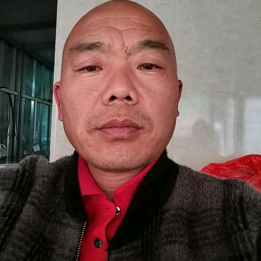 自由等待柚子的照片