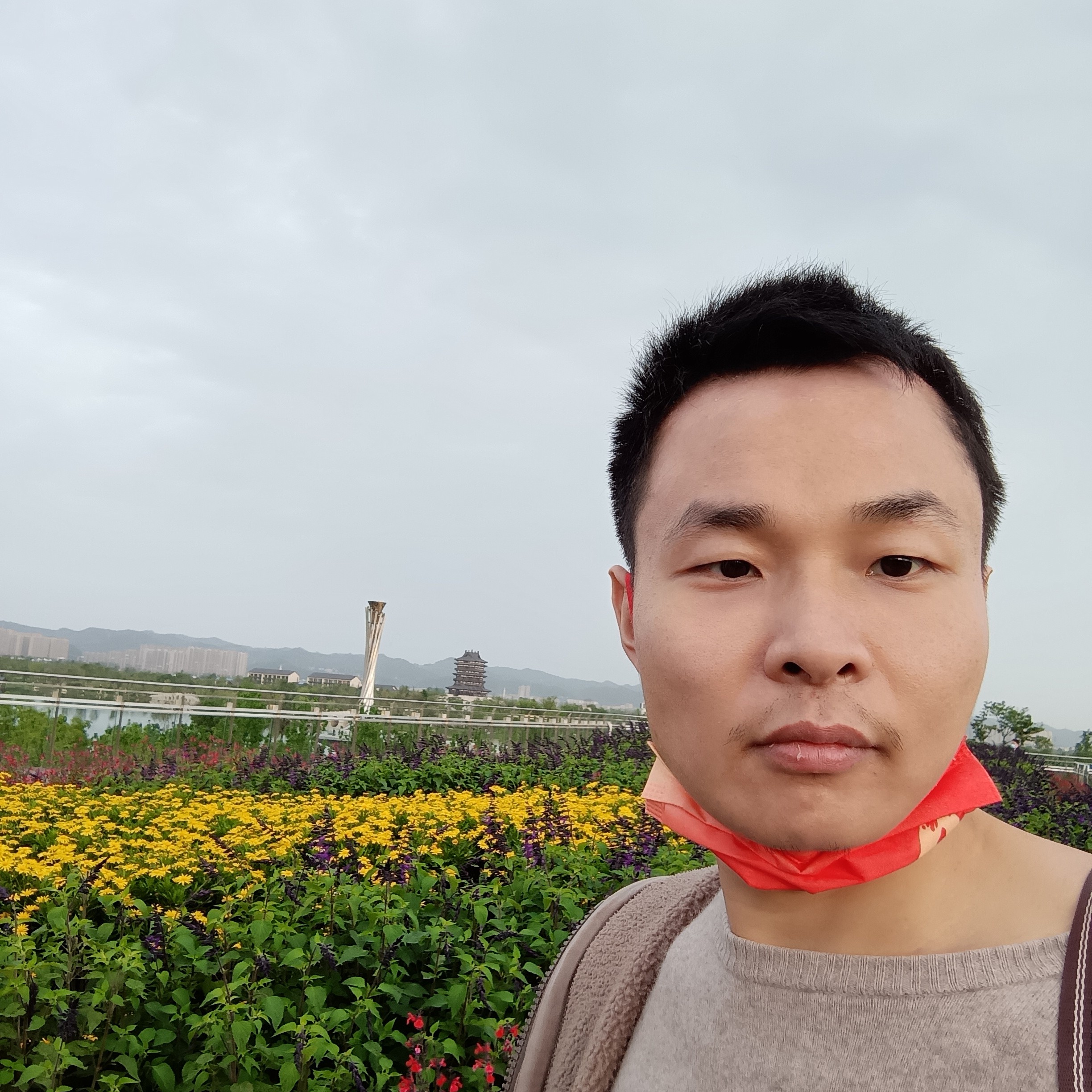 和谐大灰狼的照片