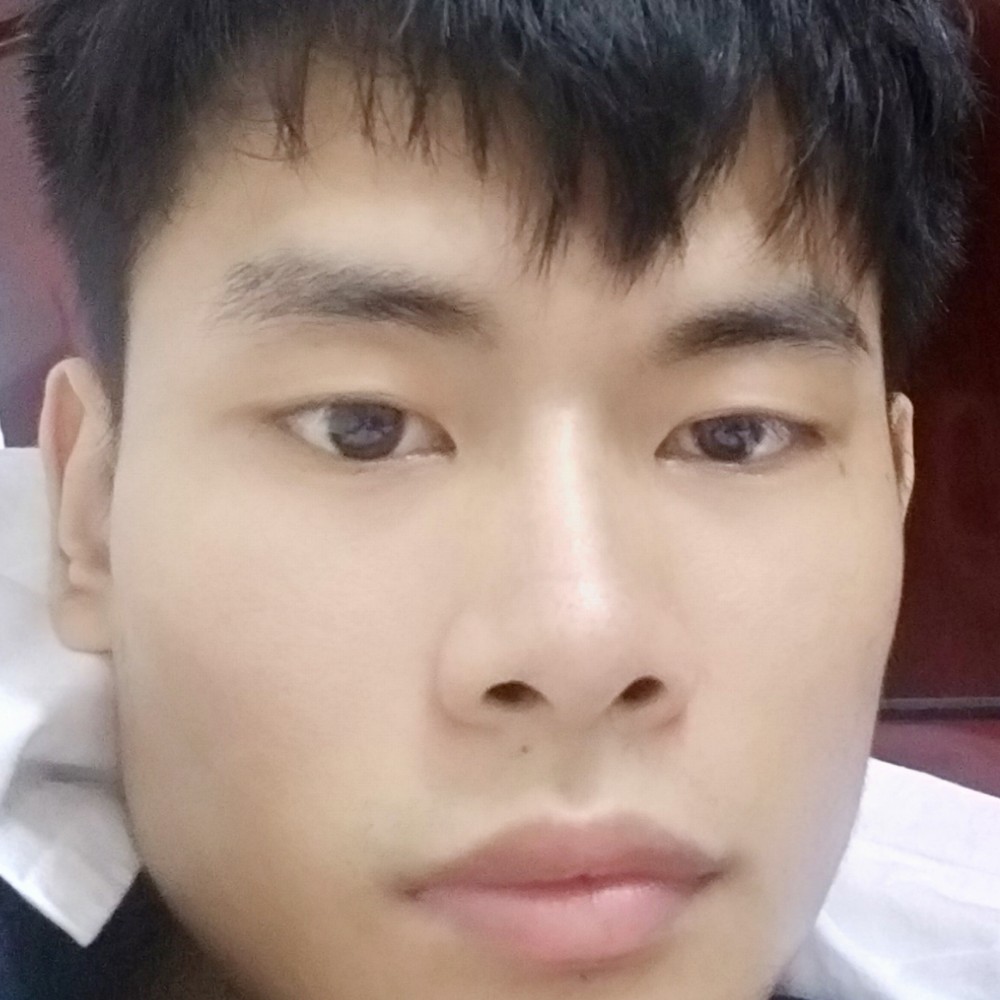 呆萌大碗这种的照片