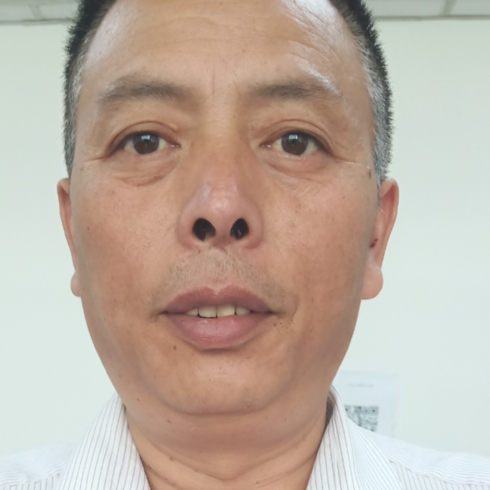 康乃馨等待浮生的照片