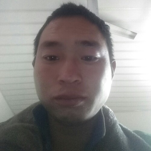 孤独的狼2的照片
