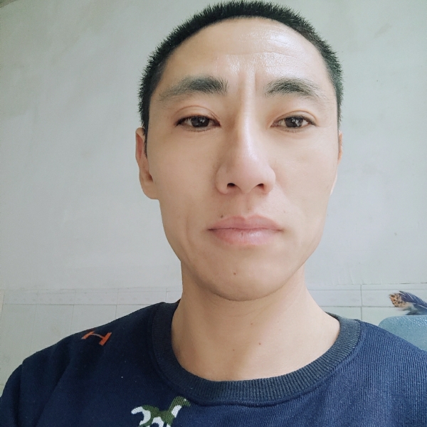 金鱼多么单身的照片