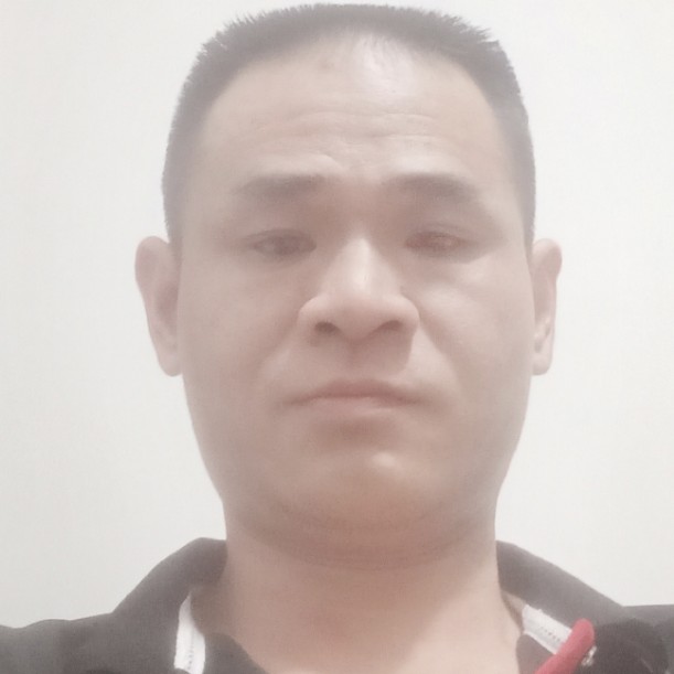 受过伤的狼的照片