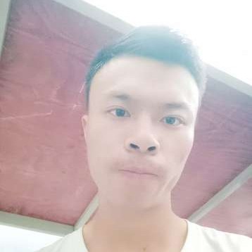 大树愿风中的照片