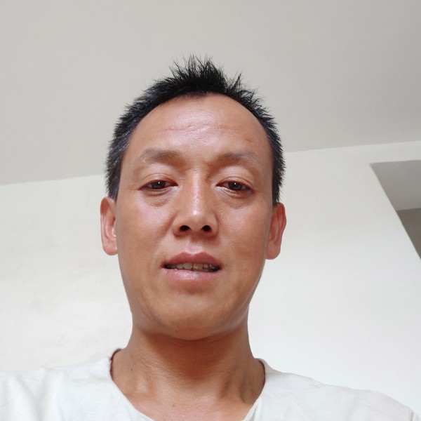 小刺猬高挑的照片