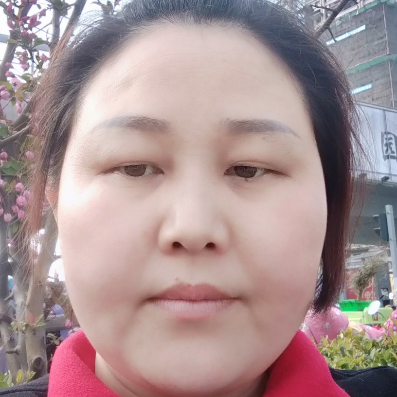 蝶舞风尘的照片