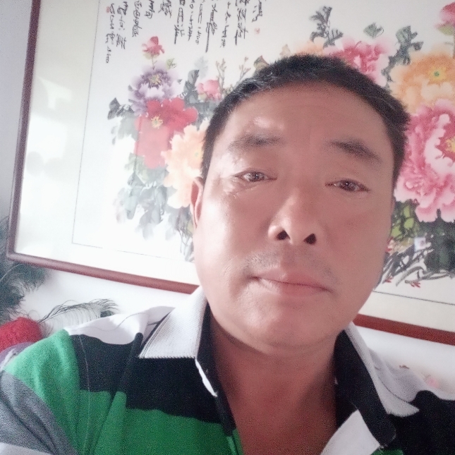 铃铛独特的照片