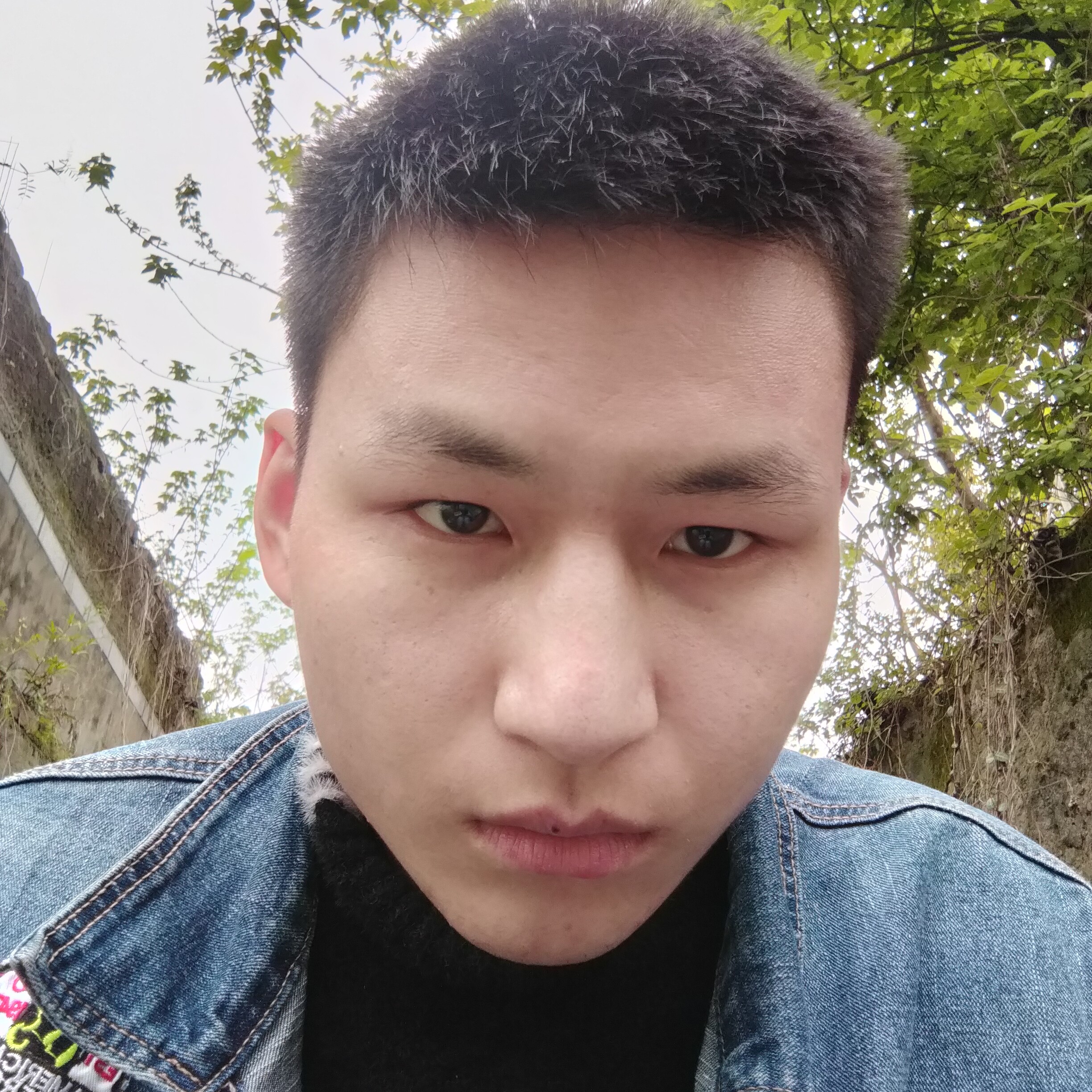 爱与酒皆为伤的照片