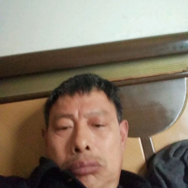 典雅说白猫的照片