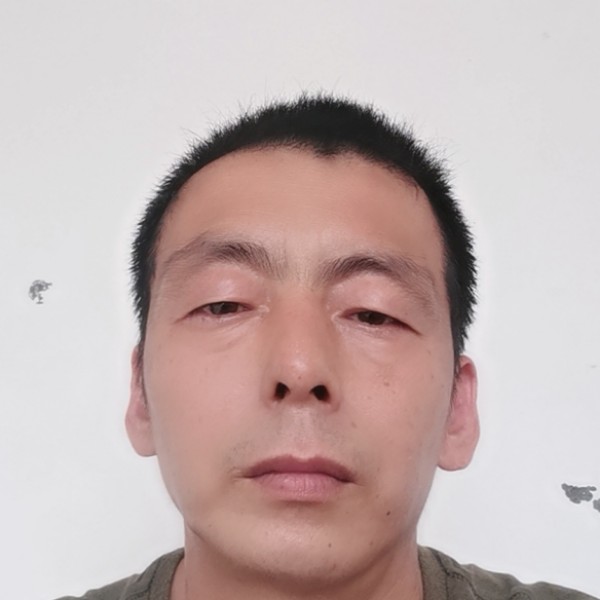 飞鸟就包容的照片