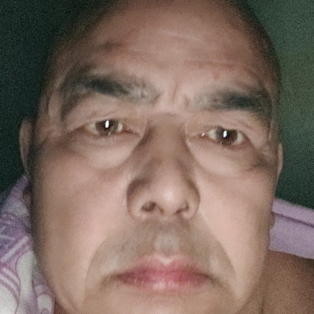 猫咪拾忆眼睛大的照片