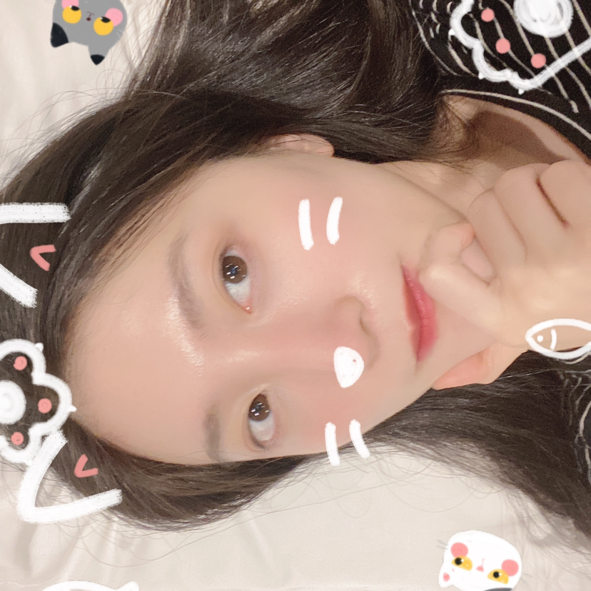 年轻停止小刺猬的照片