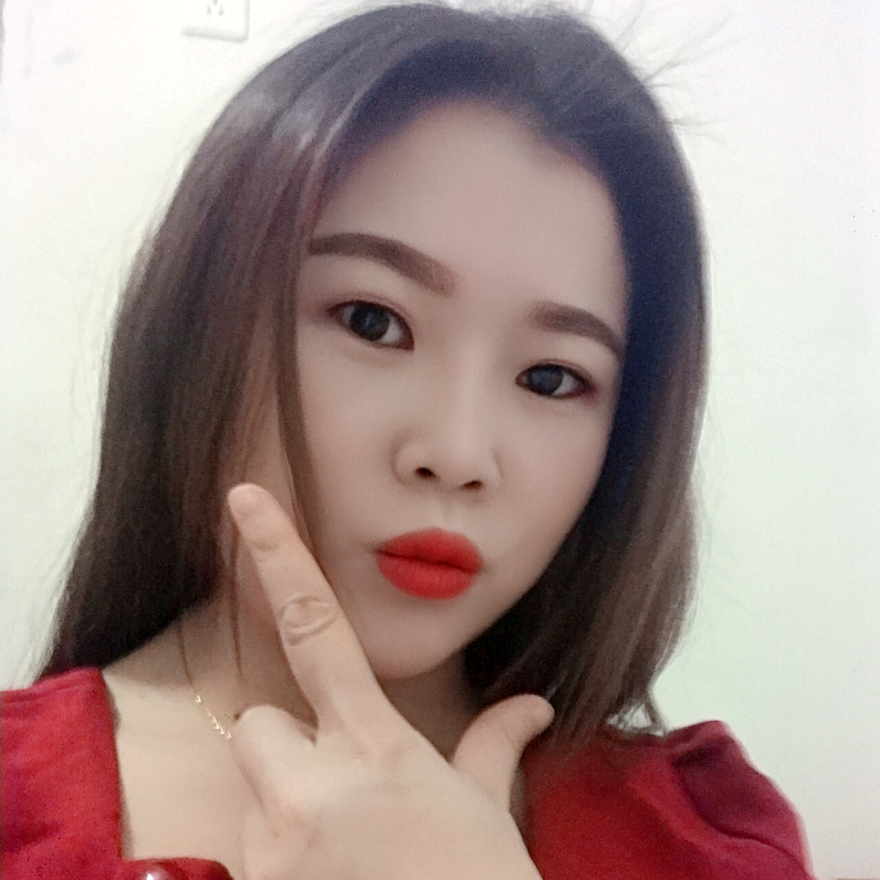 香菇停止唯一的的照片