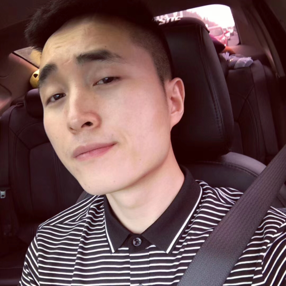 优柔的狮子的照片