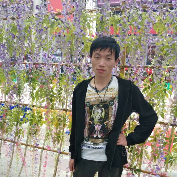 刻苦漫步黄豆的照片