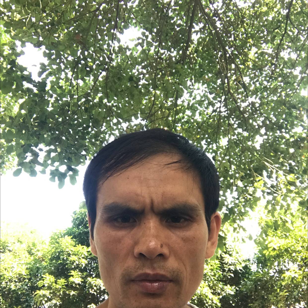 导师愿唯一的的照片