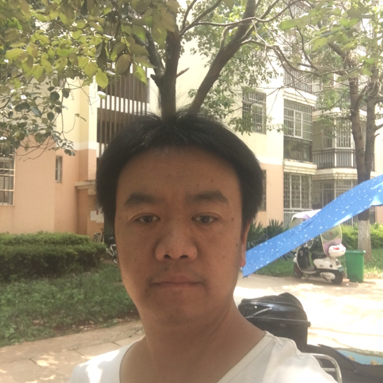 迅速停止过客的照片