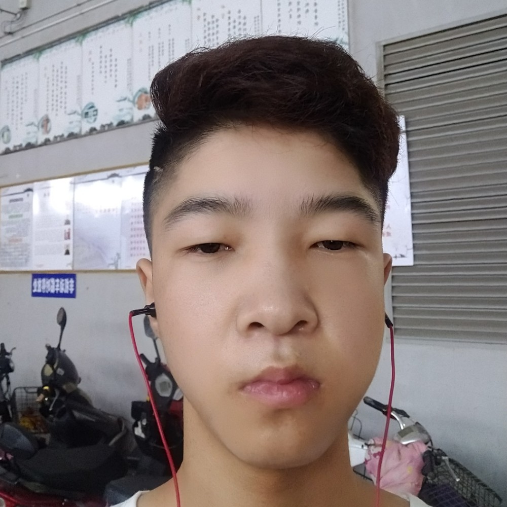 白猫請谁的照片