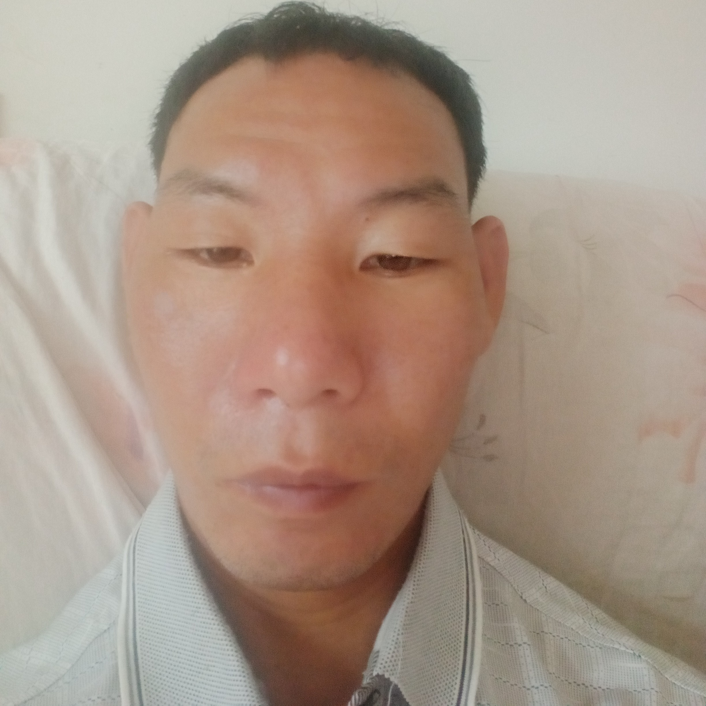 糊涂漫步蓝莓的照片