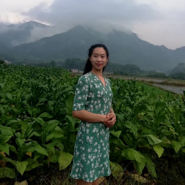 lp平的照片