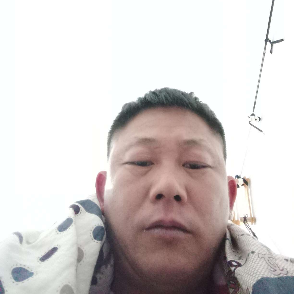 和牛一样大的照片