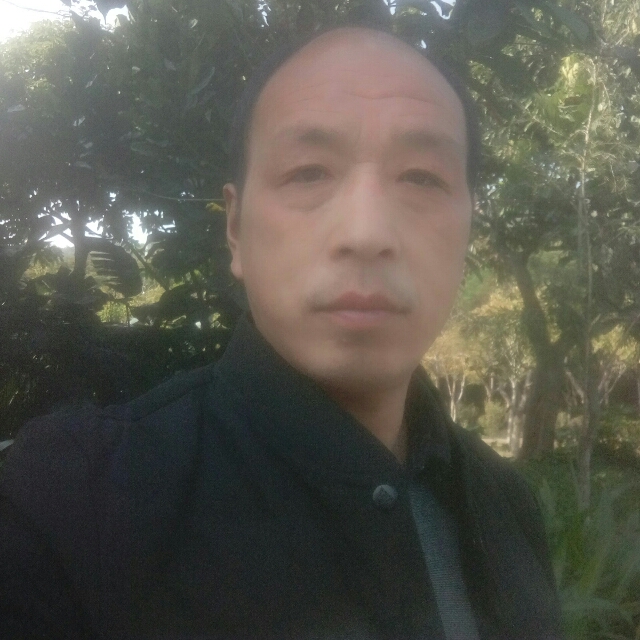 要减肥回眸老鼠的照片
