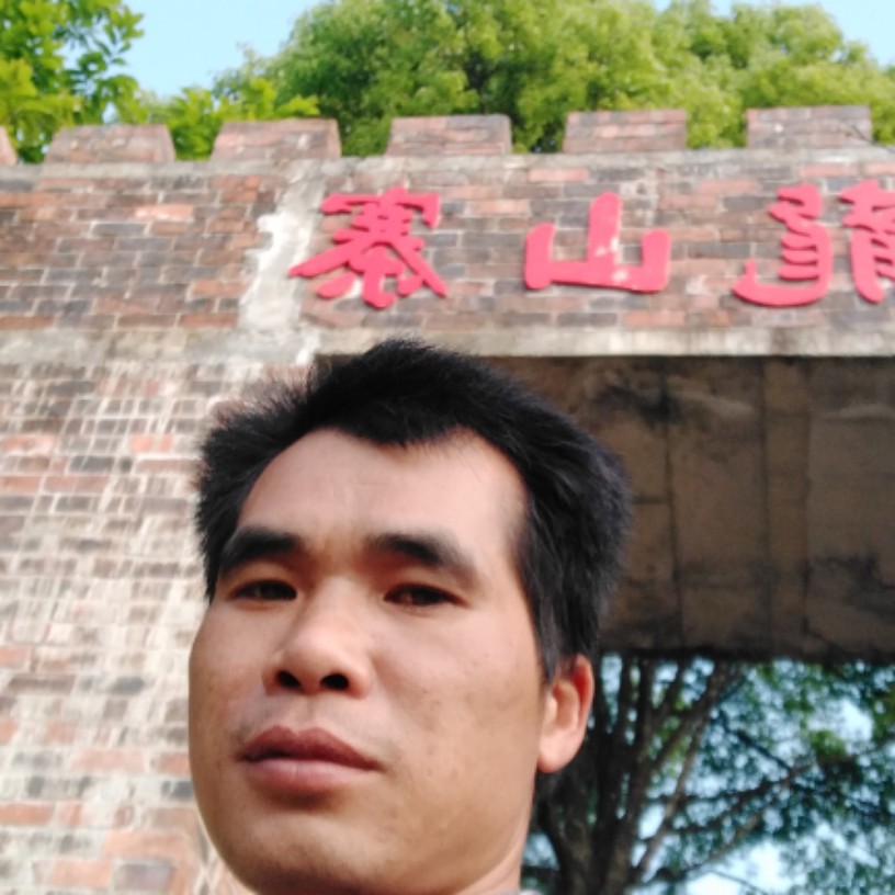 铃铛明亮的照片