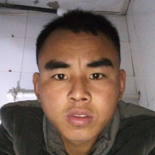忧郁停止画笔的照片