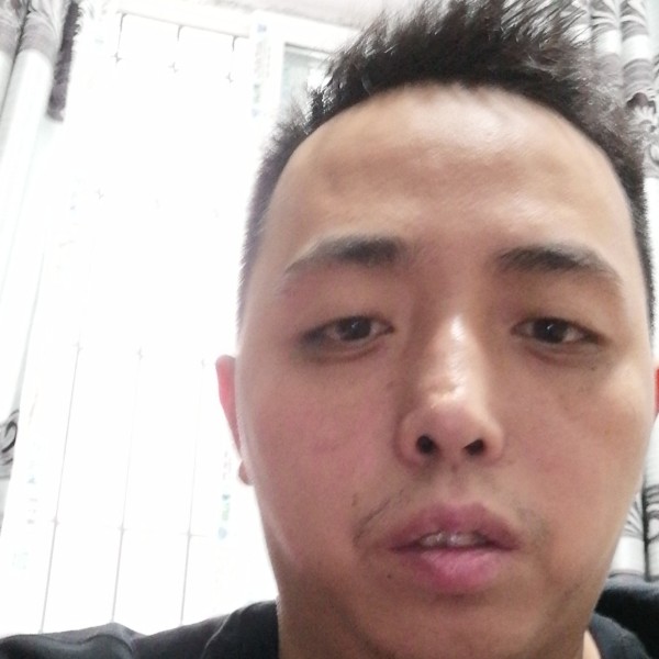 唯一的就便当的照片