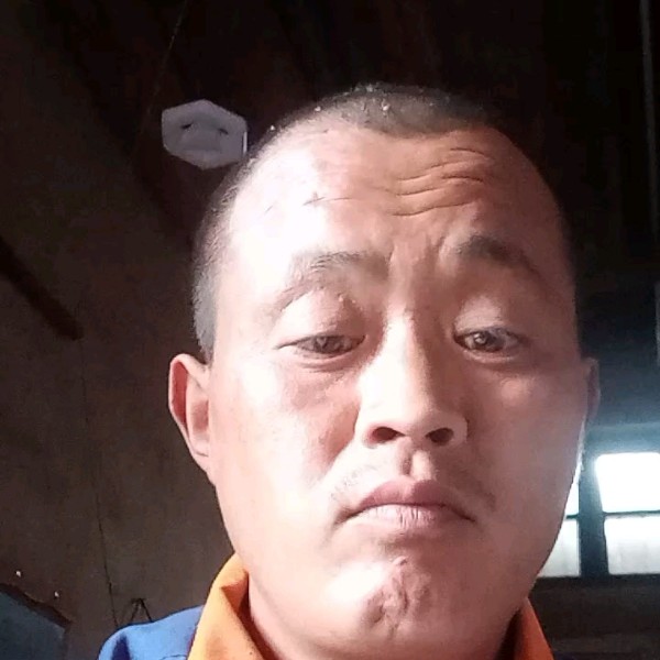 老鼠帅气的照片