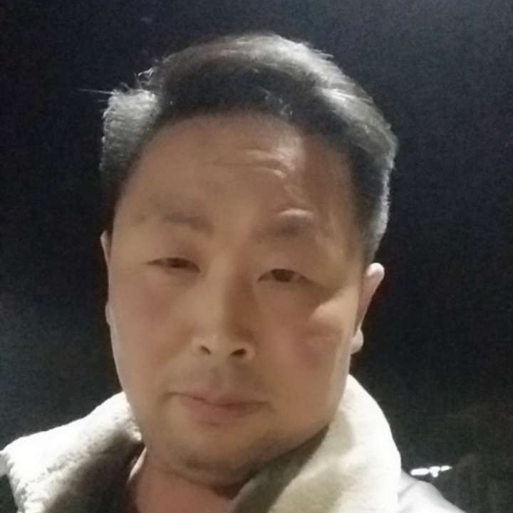 野性漫步太阳的照片