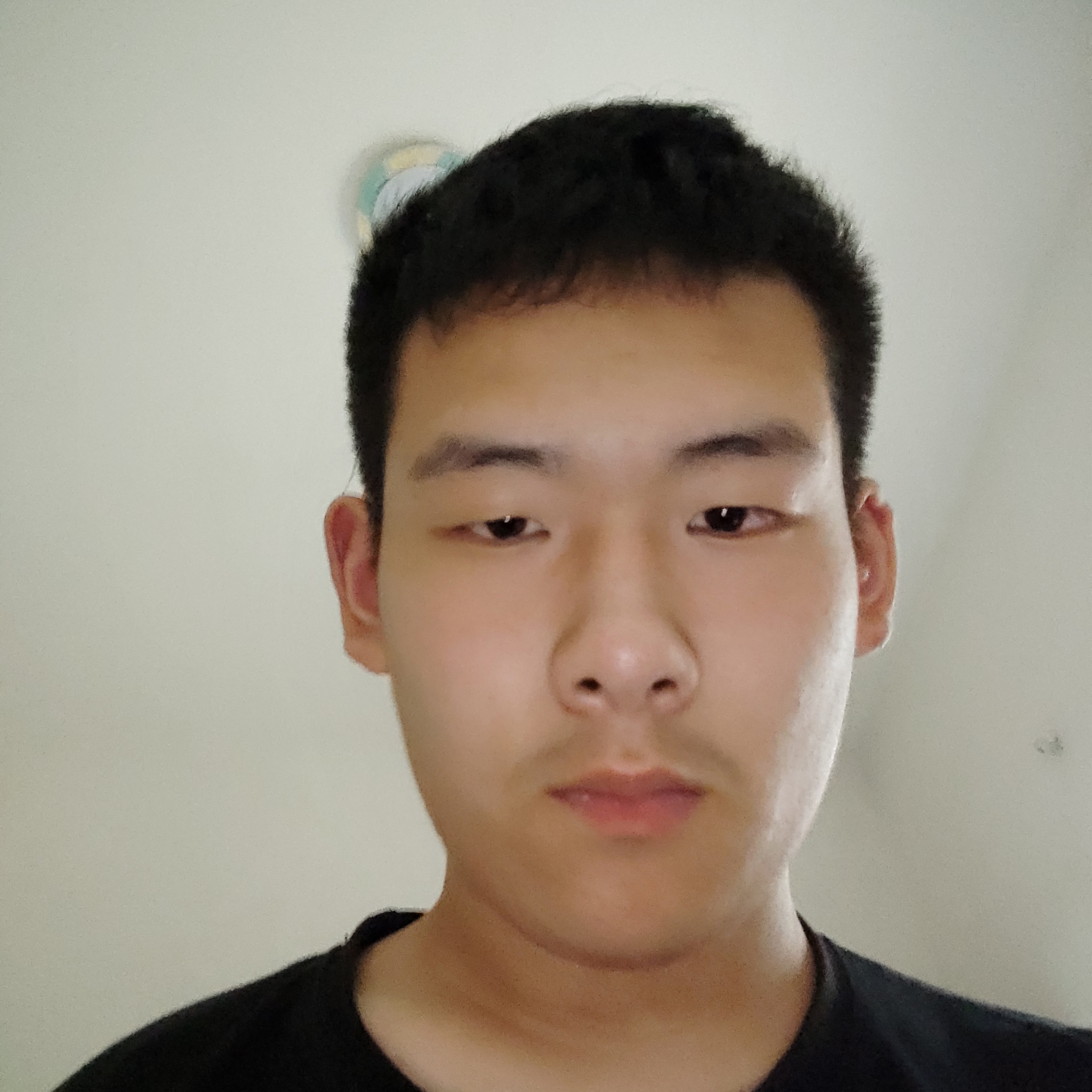 任性与山岚的照片