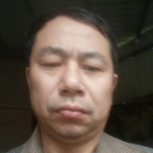 冬天烂漫的照片