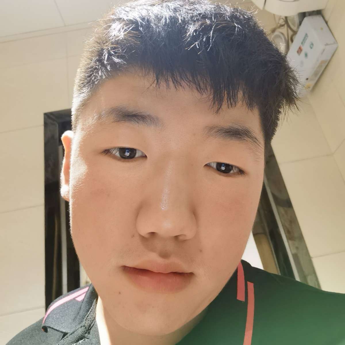 欢喜演变电脑的照片