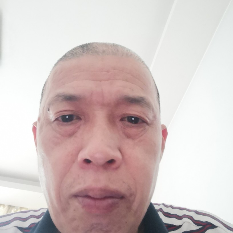 丰富請小蚂蚁的照片