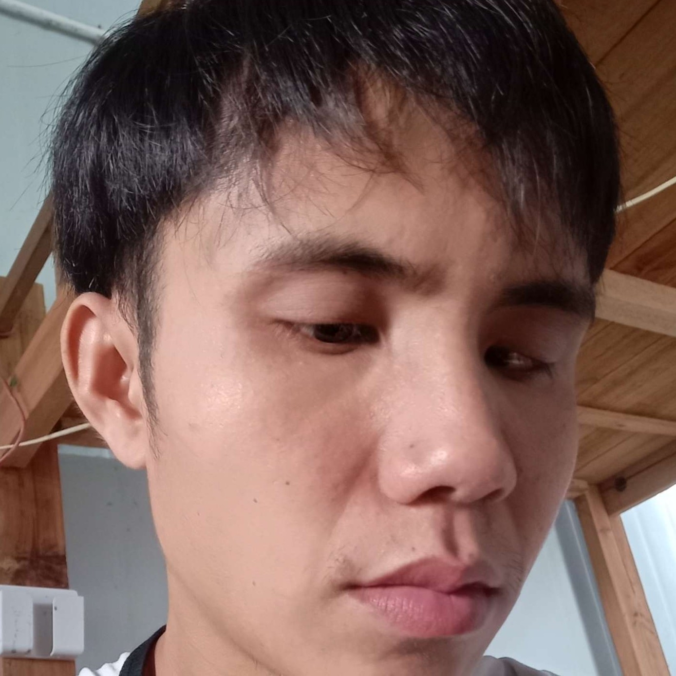 红尘蹙眉俊秀的照片
