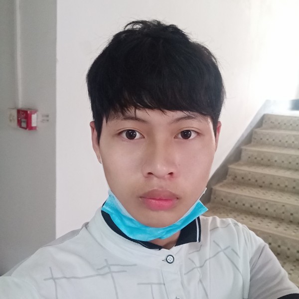 星光灿烂下的阳光的照片